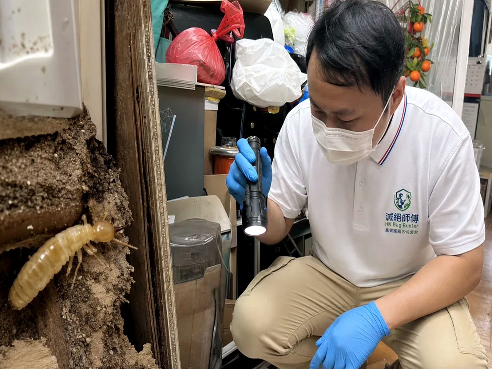 香港滅螞蟻：現場跡象檢查情境