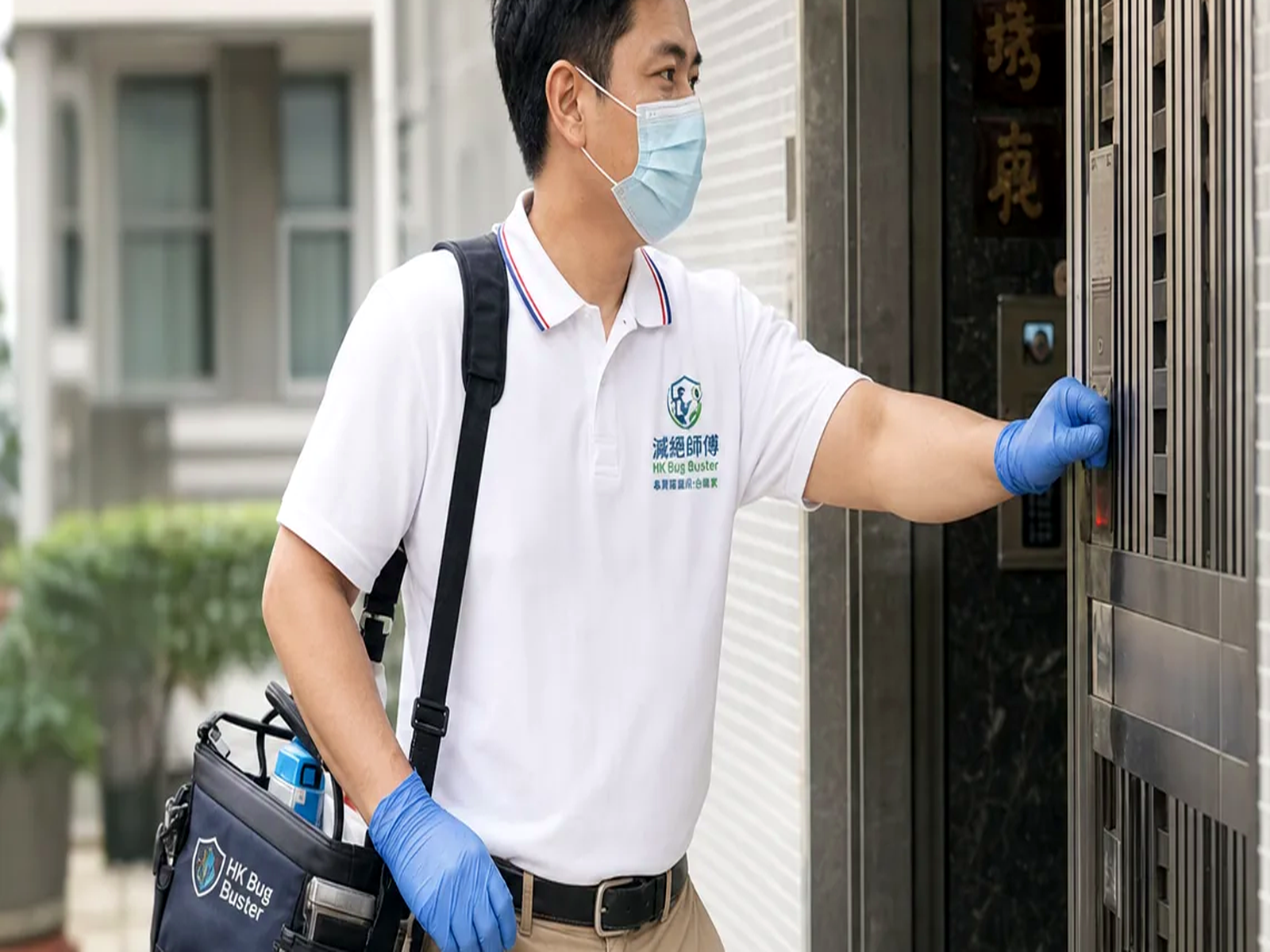 香港滅螞蟻：場所環境與可能成因檢視情境