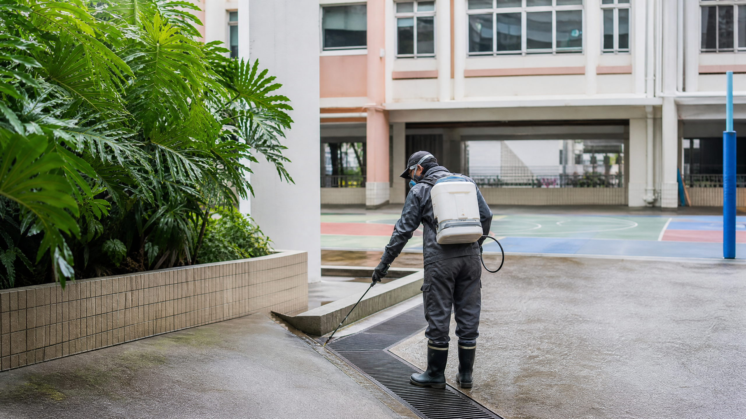 香港蚊患處理：現場處理與評估情境