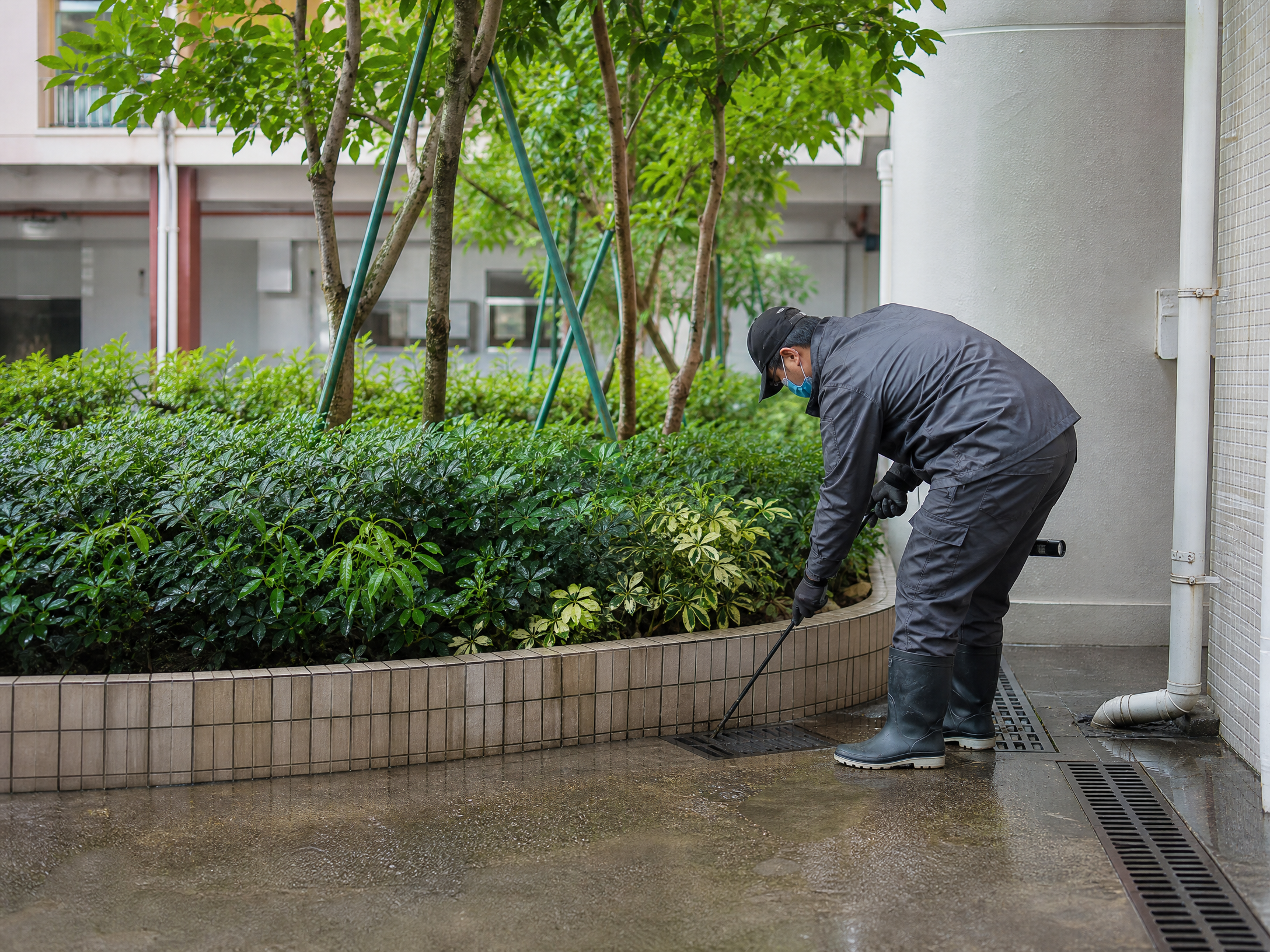 香港蚊患處理：現場跡象檢查情境