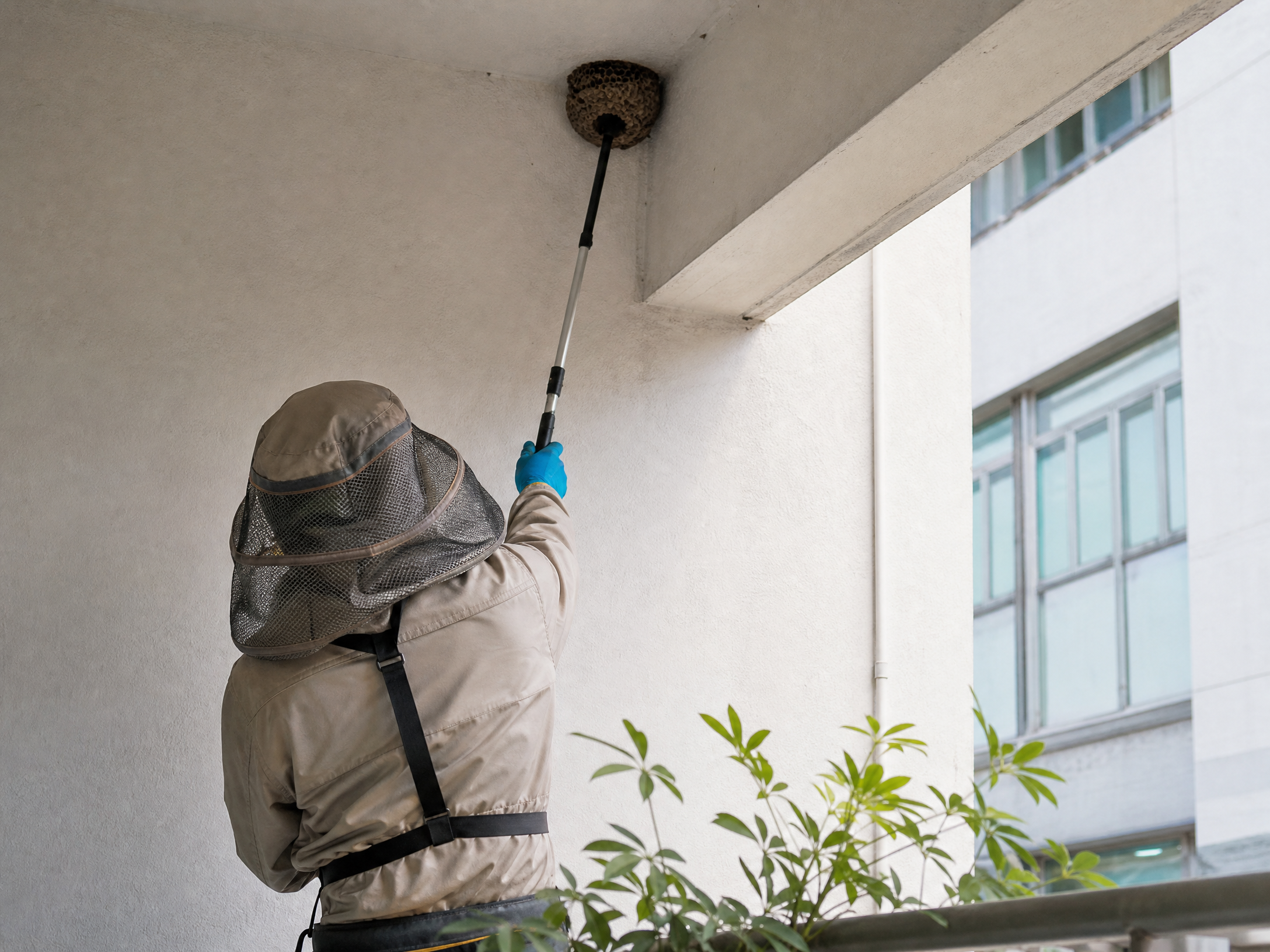 香港搖蚊處理：現場跡象檢查情境