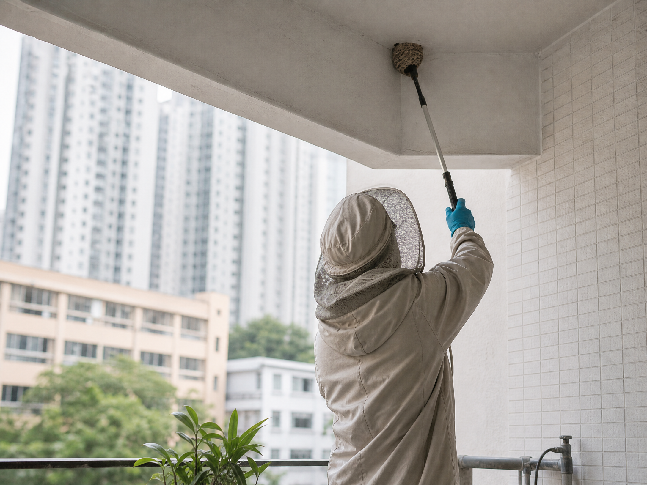 香港搖蚊處理：日常預防與環境管理情境