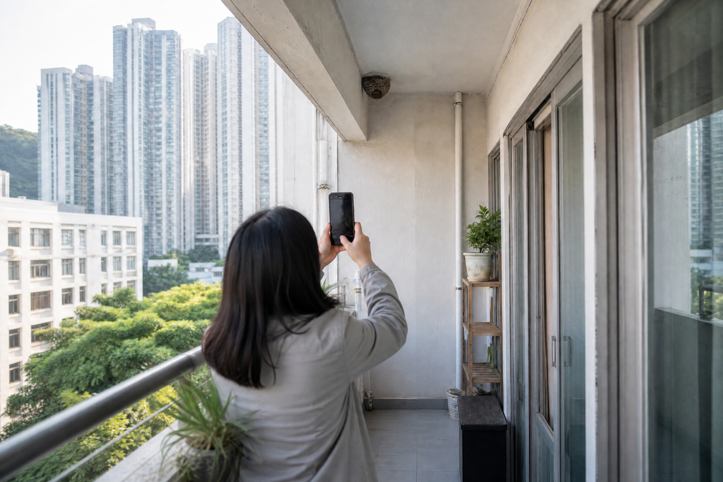 香港搖蚊處理：WhatsApp查詢及服務安排情境