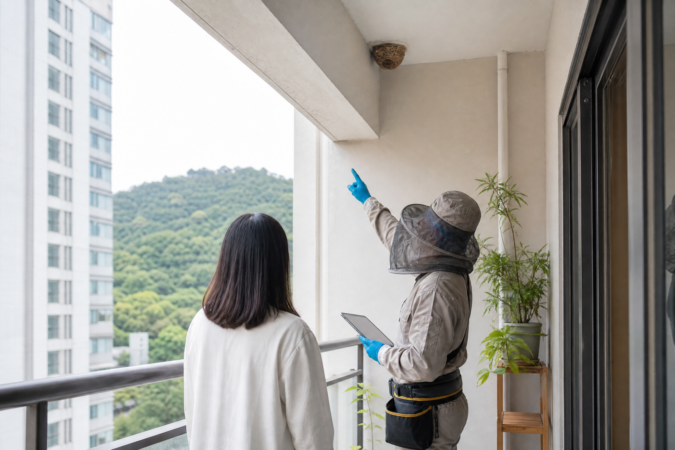香港搖蚊處理：服務參考三：場地安排服務參考情境