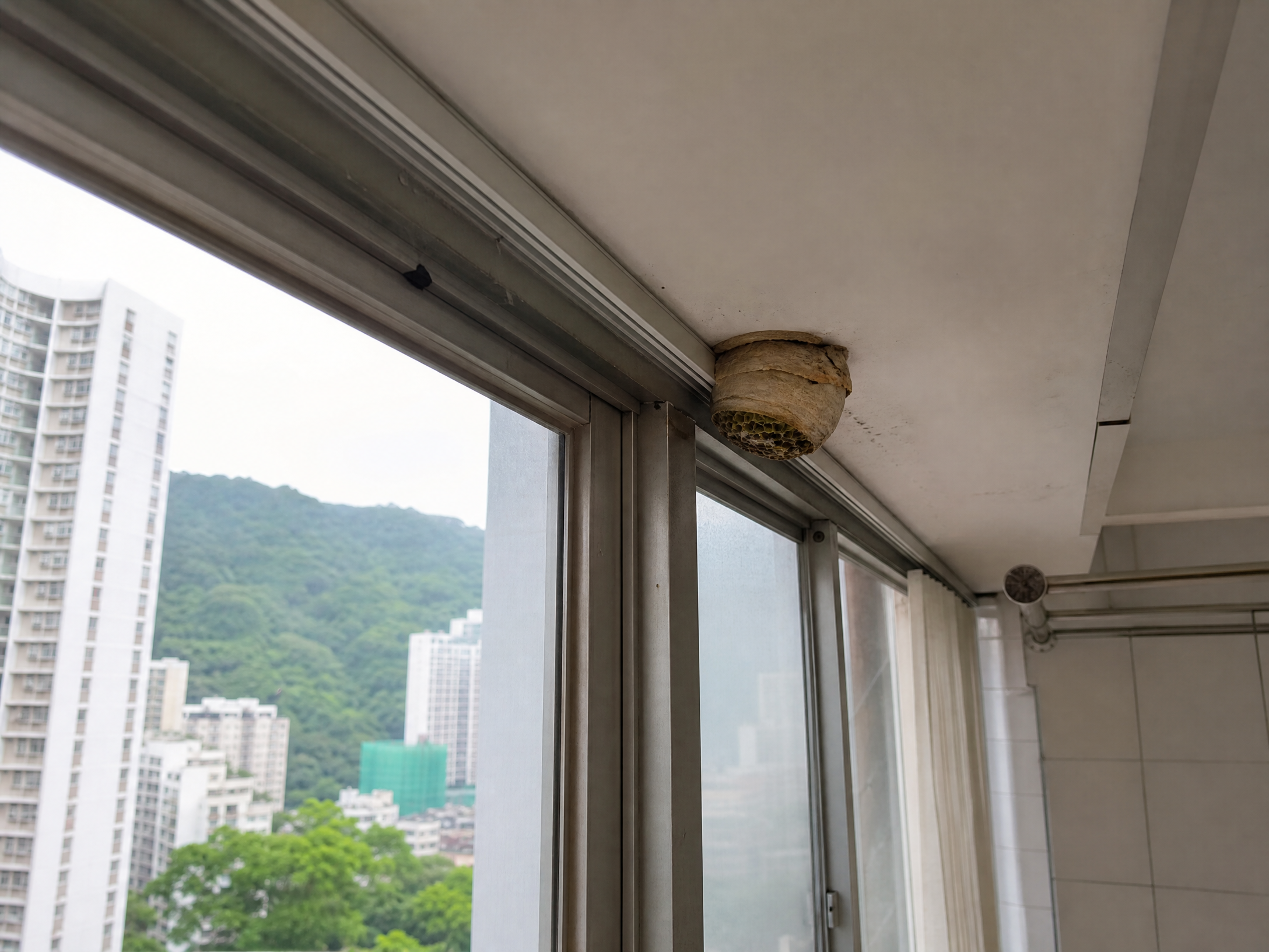 香港滅蒼蠅:場所環境與可能成因檢視情境