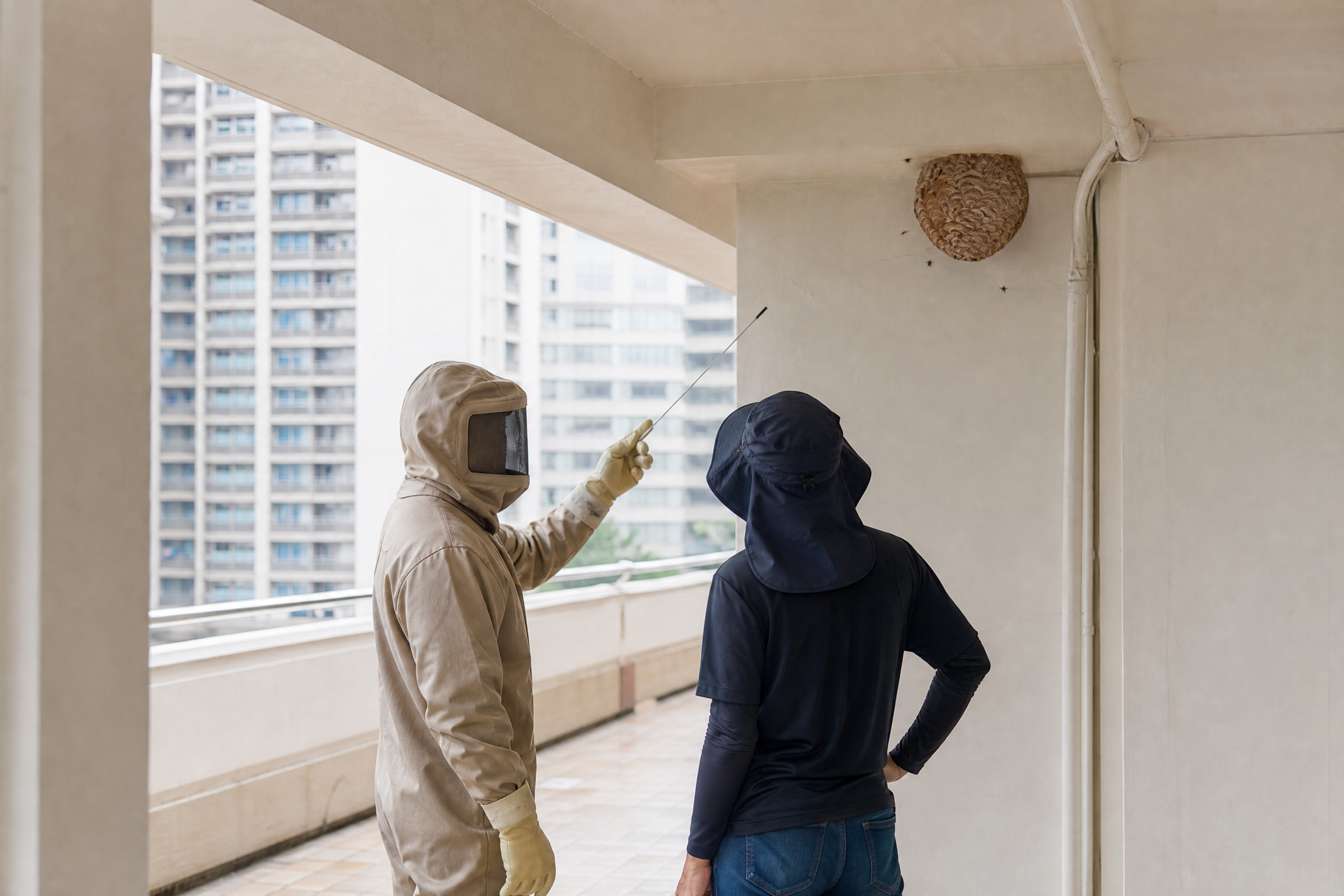 香港黃蜂巢處理：服務參考三：場地安排服務參考情境