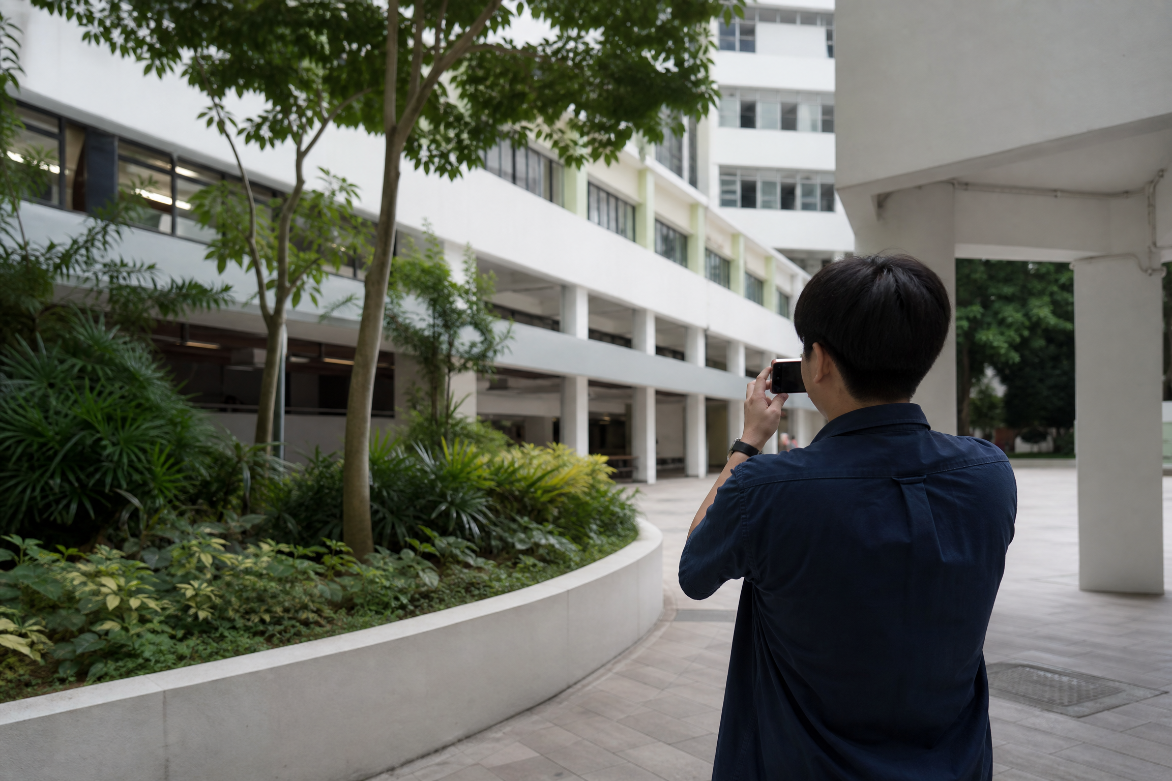 香港中學滅蚊：WhatsApp查詢及服務安排情境