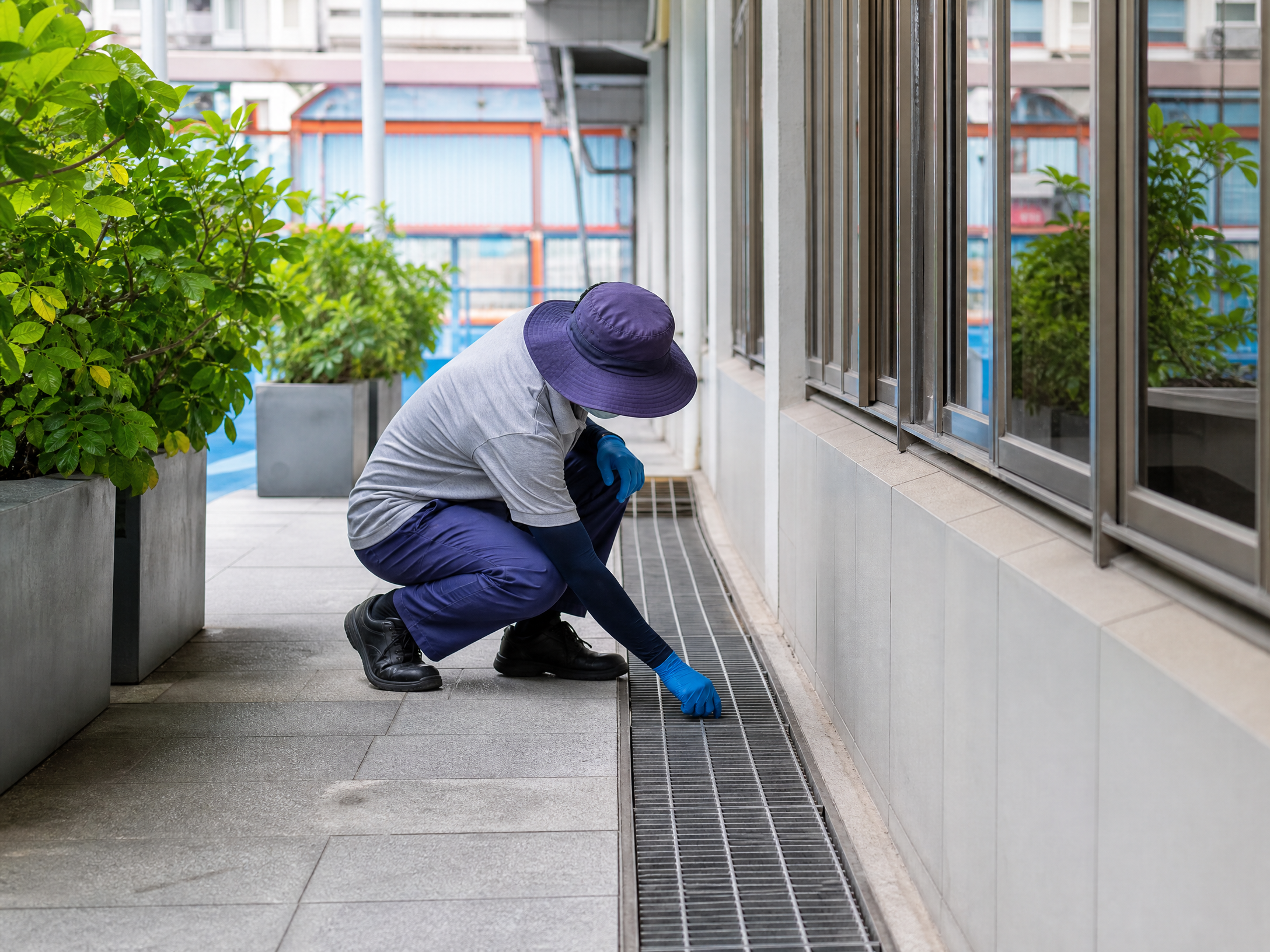 香港校園蚊患處理：日常預防與環境管理情境