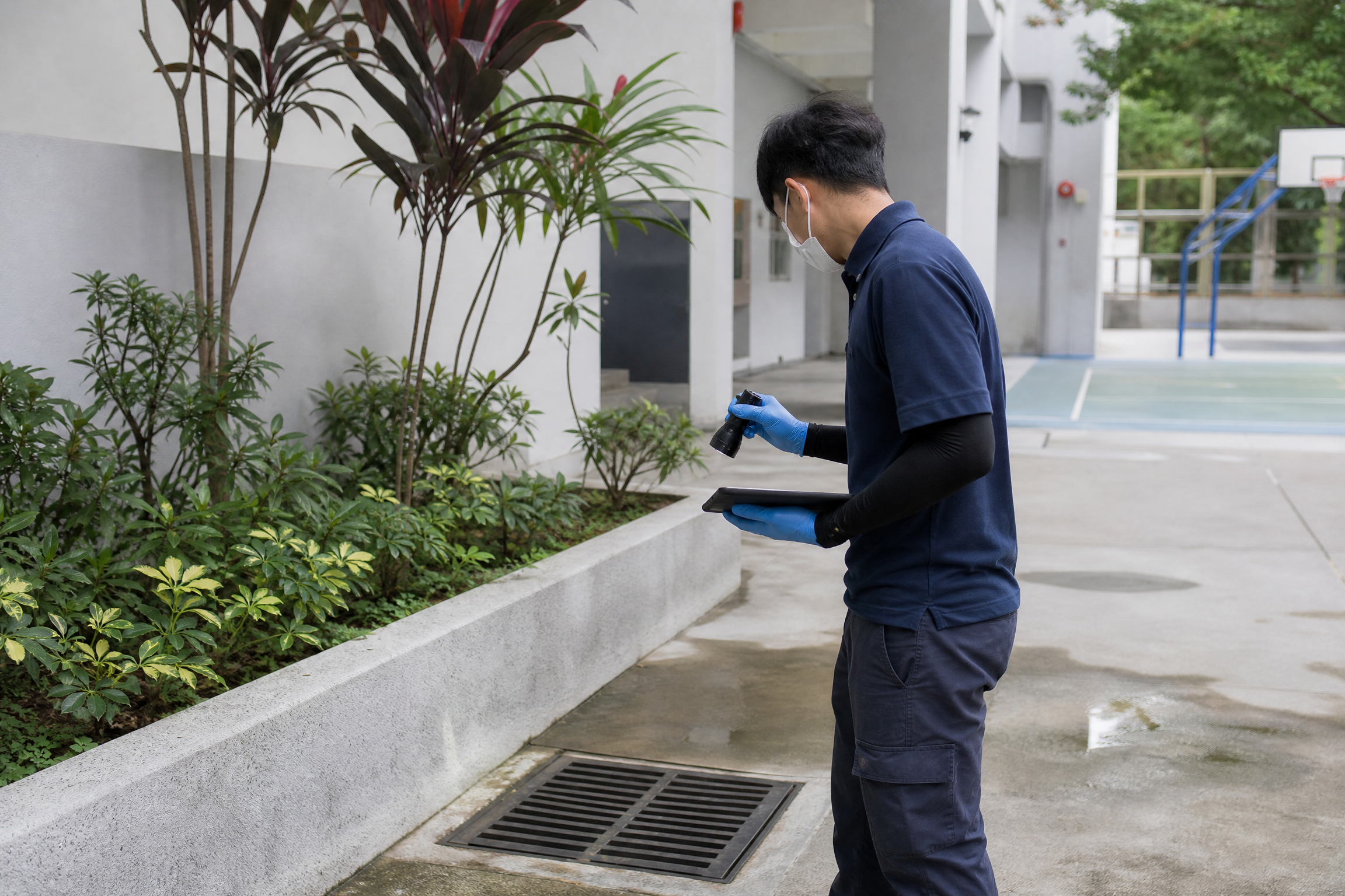 香港校園蚊患處理：服務參考二：現場檢查服務參考情境
