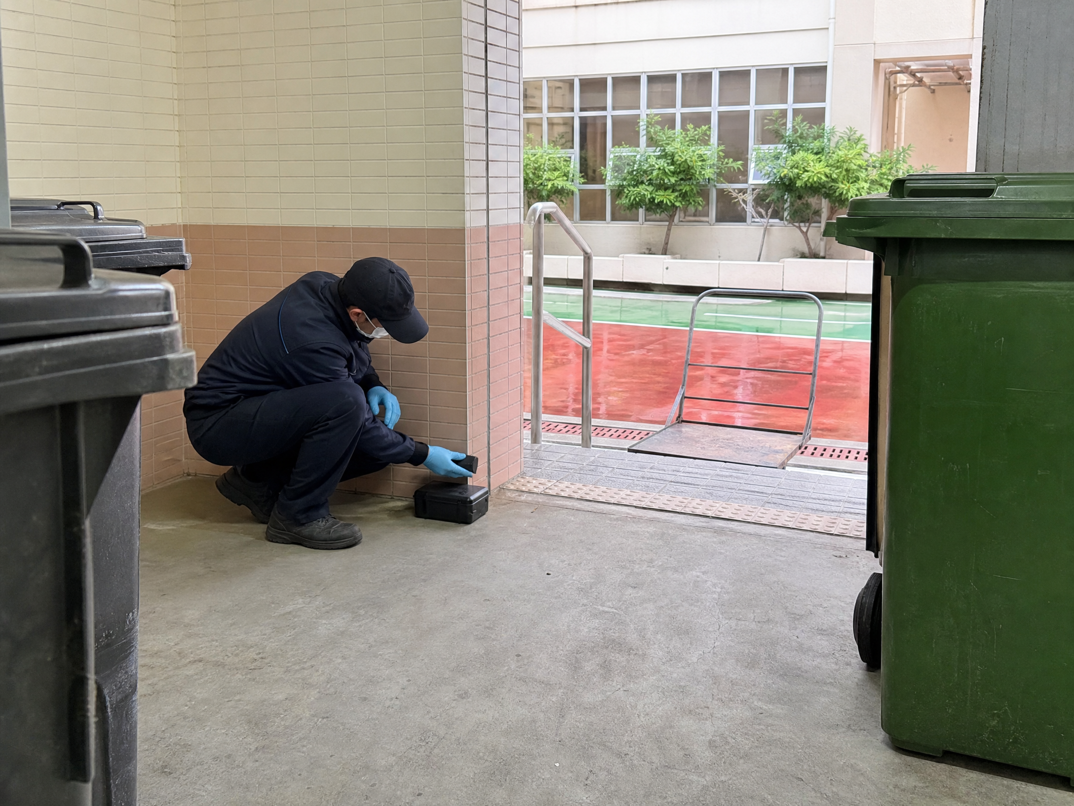 香港學校垃圾房滅蟲：日常預防與環境管理情境