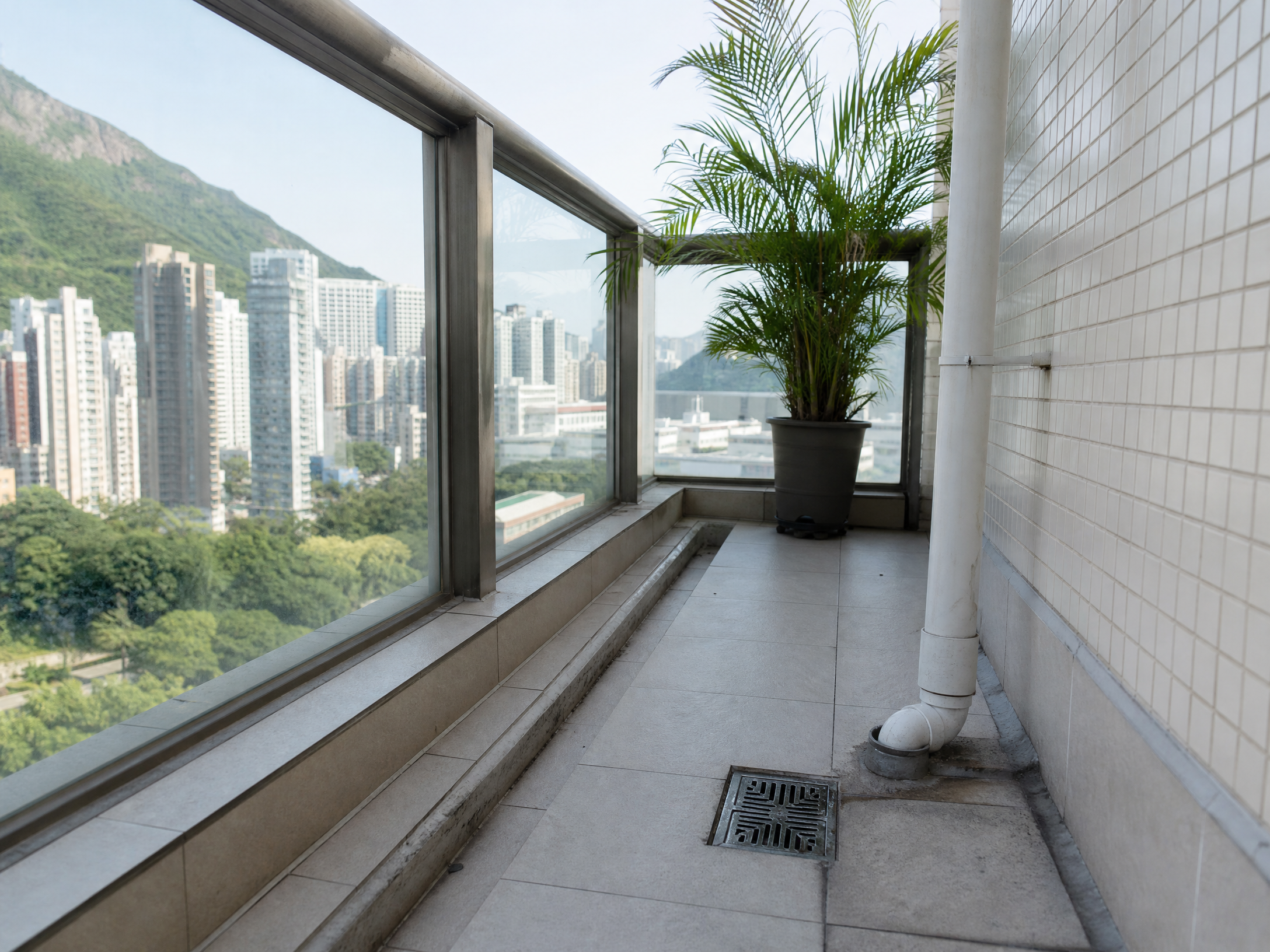 香港渠口飛蟲處理：場所環境與可能成因檢視情境
