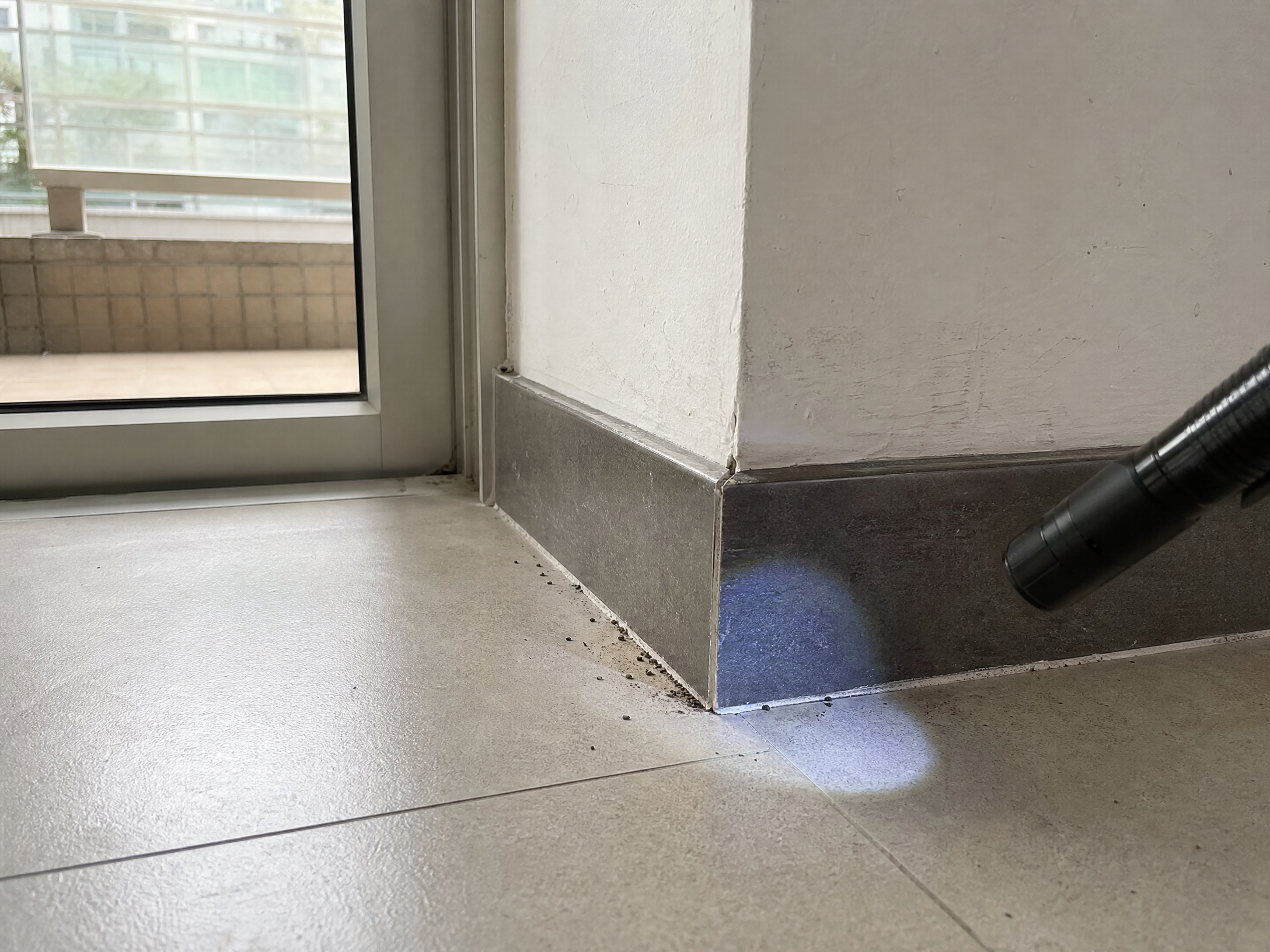 香港快遞滅蟲：現場跡象檢查情境